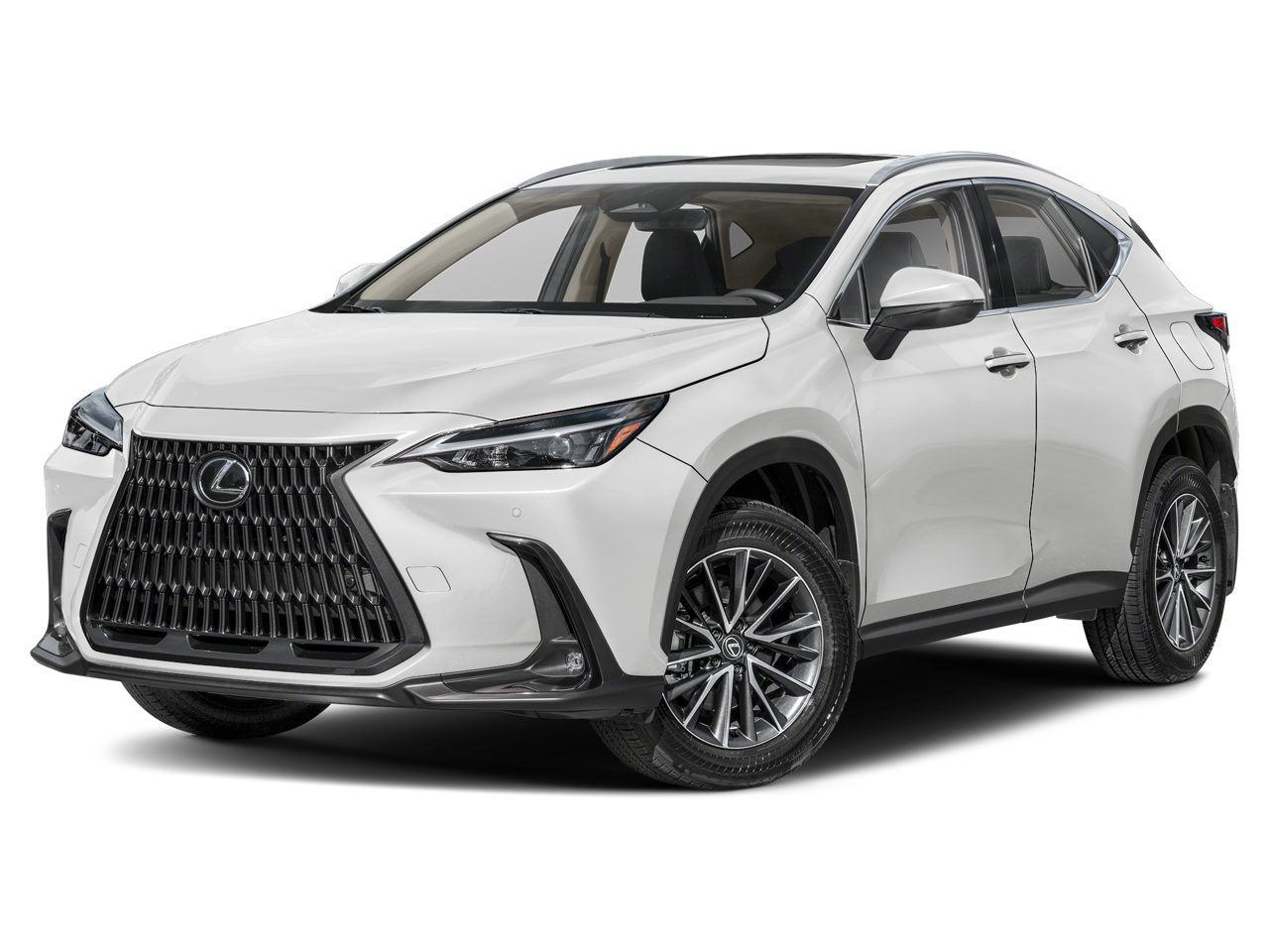 2025 Lexus NX