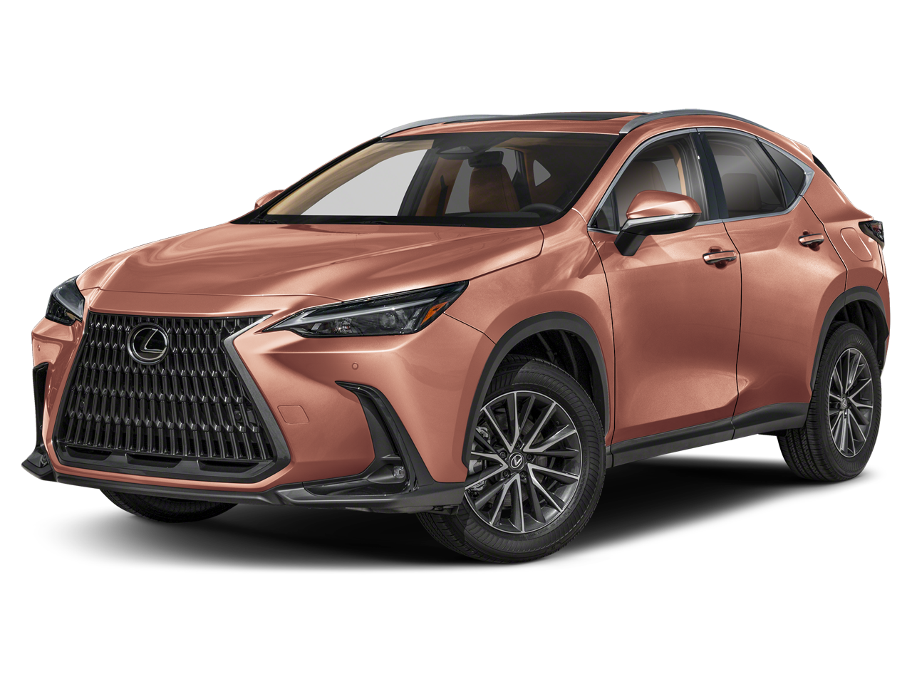 2025 Lexus NX