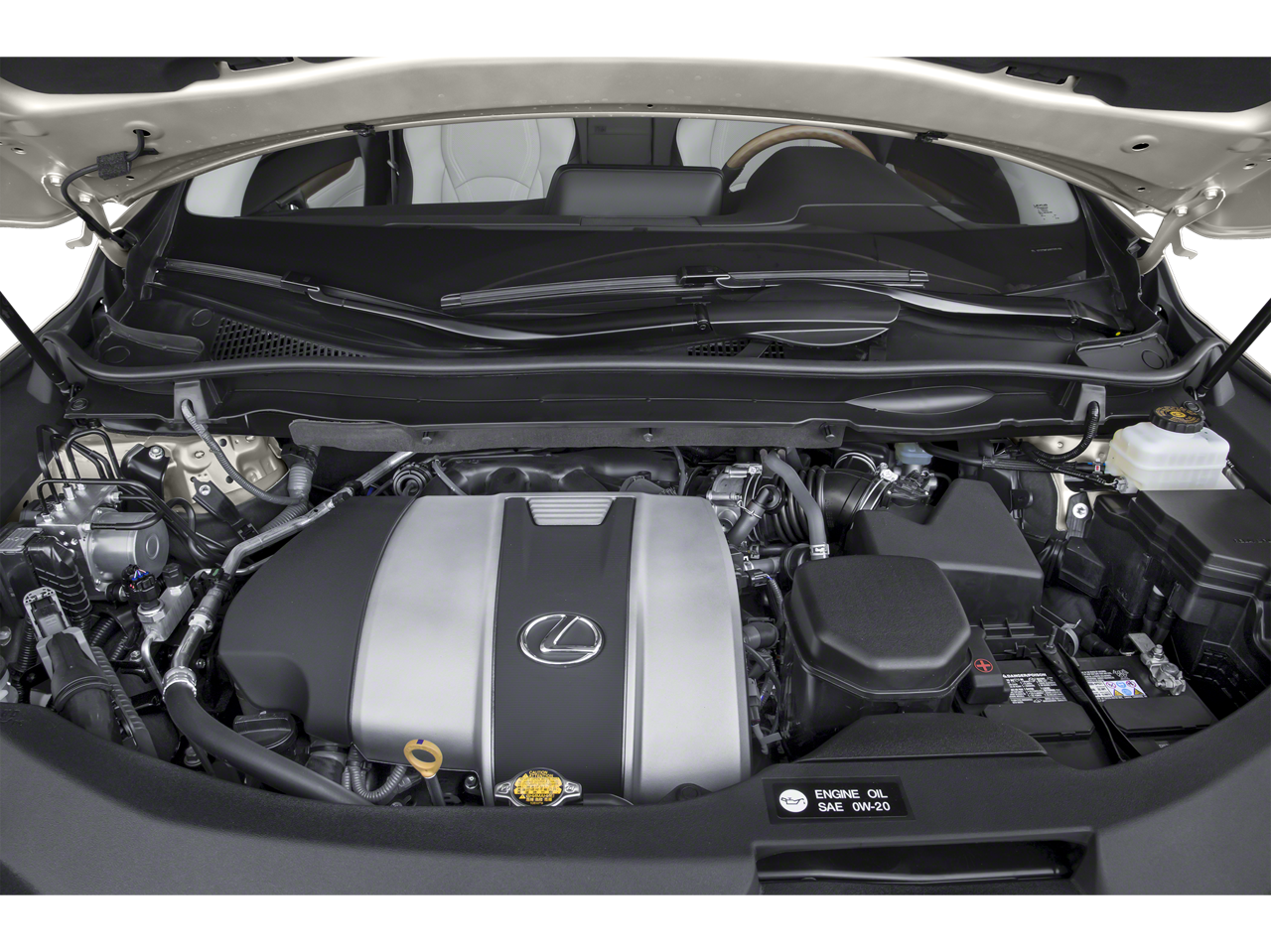 2019 Lexus RX 350 F Sport 350 F Sport