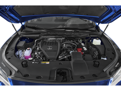 2024 Lexus RX 350 350 COLD AREA PACKAGE