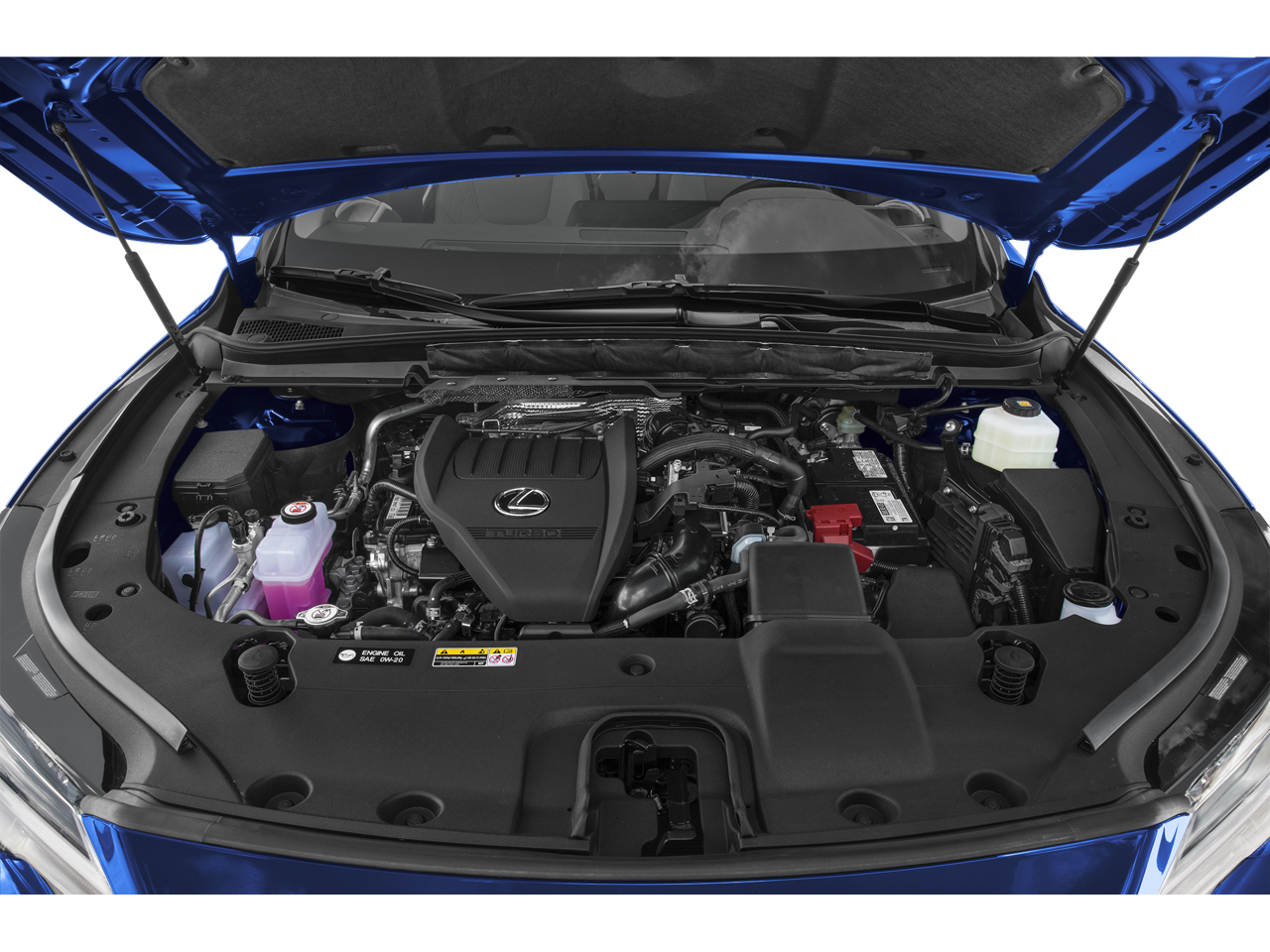 2024 Lexus RX 350 350 COLD AREA PACKAGE