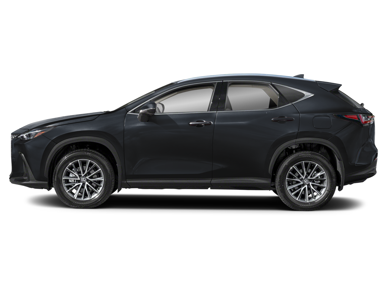 2024 Lexus NX 350 photo 2