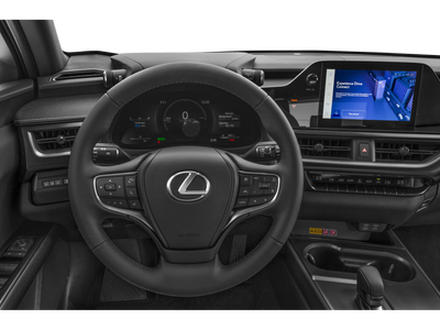 2025 Lexus UX 300h Premium 300h Premium COLD AREA PACKAGE