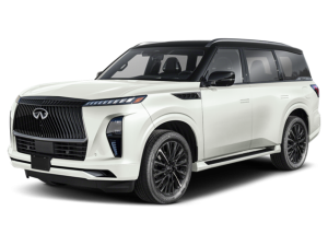 2025 QX80 in Greenwich, CT