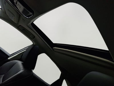 2022 Lexus NX 250 Base 250 Base COLD AREA PACKAGE