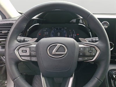 2022 Lexus NX 250 Base 250 Base COLD AREA PACKAGE