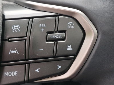 2022 Lexus NX 250 Base 250 Base COLD AREA PACKAGE