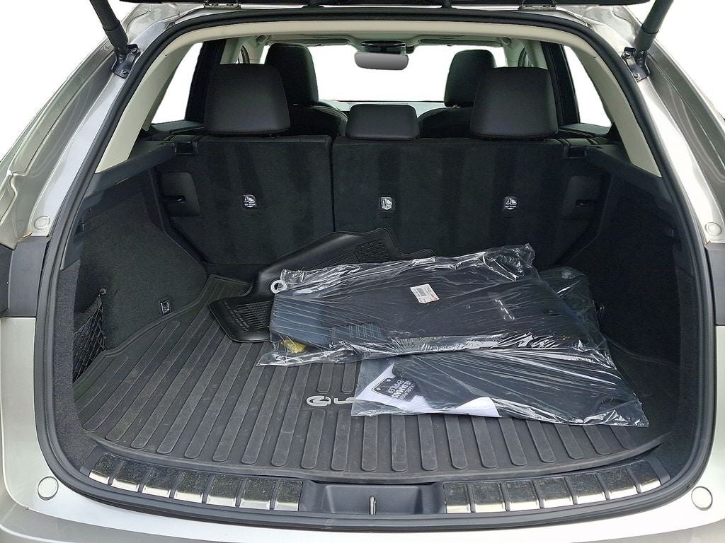 2022 Lexus NX 250 Base 250 Base COLD AREA PACKAGE