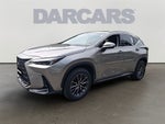 2022 Lexus NX 250 Base 250 Base COLD AREA PACKAGE