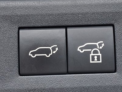 2022 Lexus NX 250 Base 250 Base COLD AREA PACKAGE