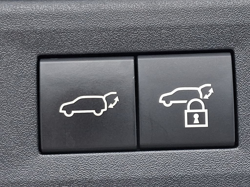 2022 Lexus NX 250 Base 250 Base COLD AREA PACKAGE