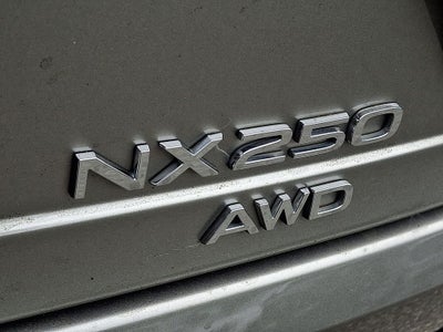 2022 Lexus NX 250 Base 250 Base COLD AREA PACKAGE