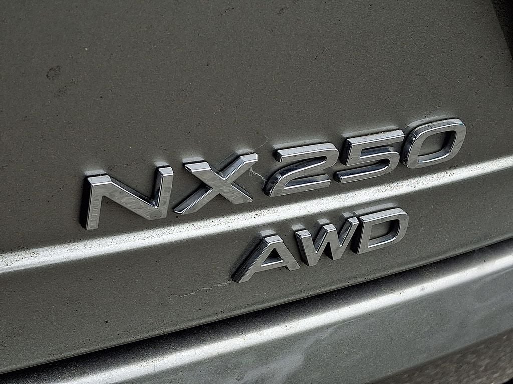 2022 Lexus NX 250 Base 250 Base COLD AREA PACKAGE