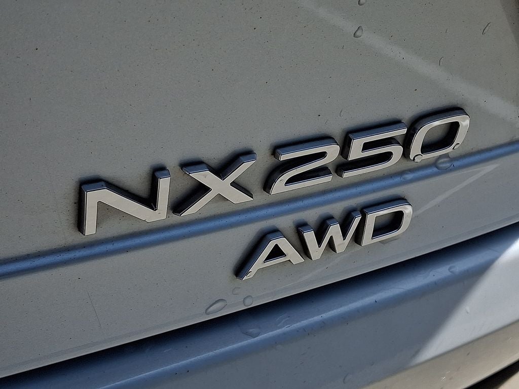 2024 Lexus NX 250 Base 250 Base