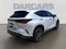 2024 Lexus NX 250 Base 250 Base