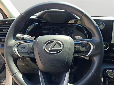 2022 Lexus NX 350 Base 350 Base COLD AREA PACKAGE