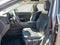 2024 Lexus NX 350 Base 350 Base COLD AREA PACKAGE