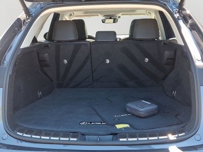 2024 Lexus NX 350 Base 350 Base COLD AREA PACKAGE