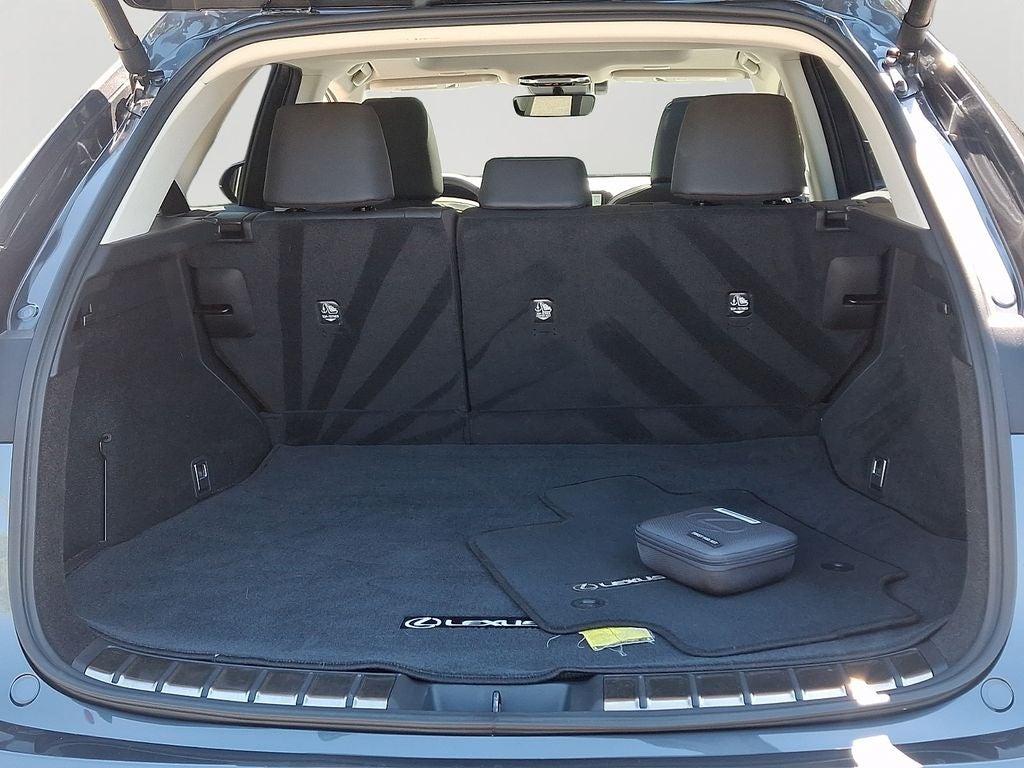 2024 Lexus NX 350 Base 350 Base COLD AREA PACKAGE