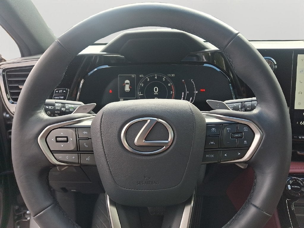 2024 Lexus NX 350 Base 350 Base COLD AREA PACKAGE