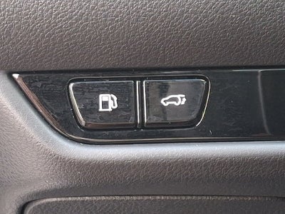 2024 Lexus NX 350 Base 350 Base COLD AREA PACKAGE
