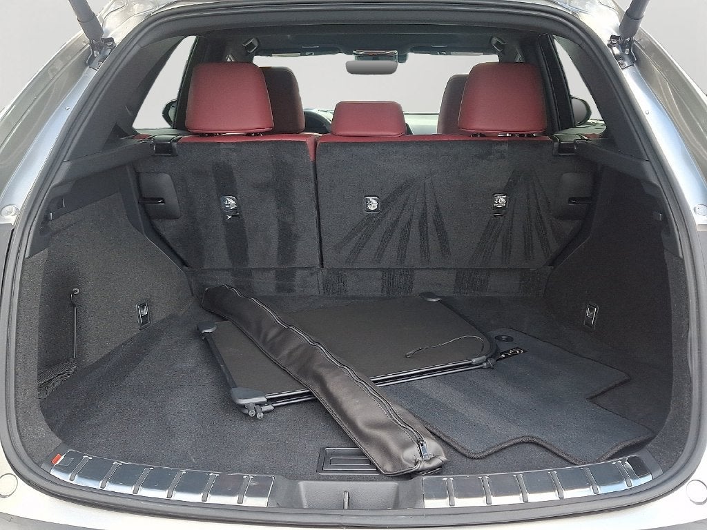 2024 Lexus NX 350 Base 350 Base COLD AREA PACKAGE