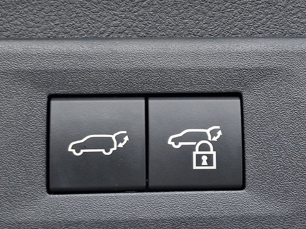 2024 Lexus NX 350 Base 350 Base COLD AREA PACKAGE