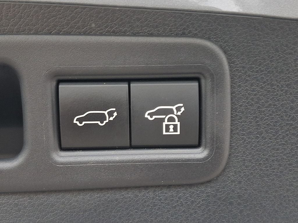 2024 Lexus RX 350 Premium 350 Premium COLD AREA PACKAGE
