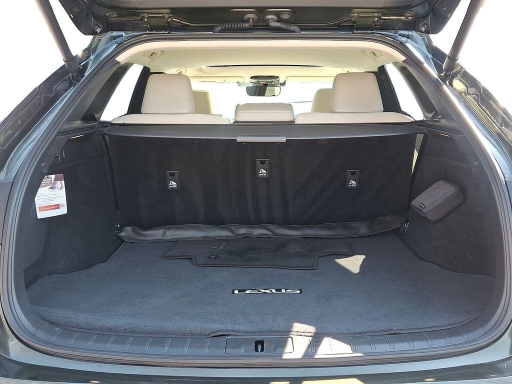 2024 Lexus RX 350 Premium 350 Premium COLD AREA PACKAGE