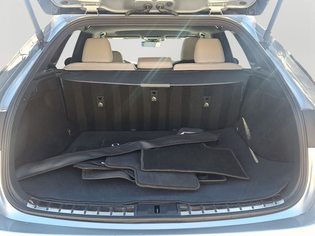 2023 Lexus RX 350 Premium Plus 350 Premium Plus COLD AREA PACKAGE