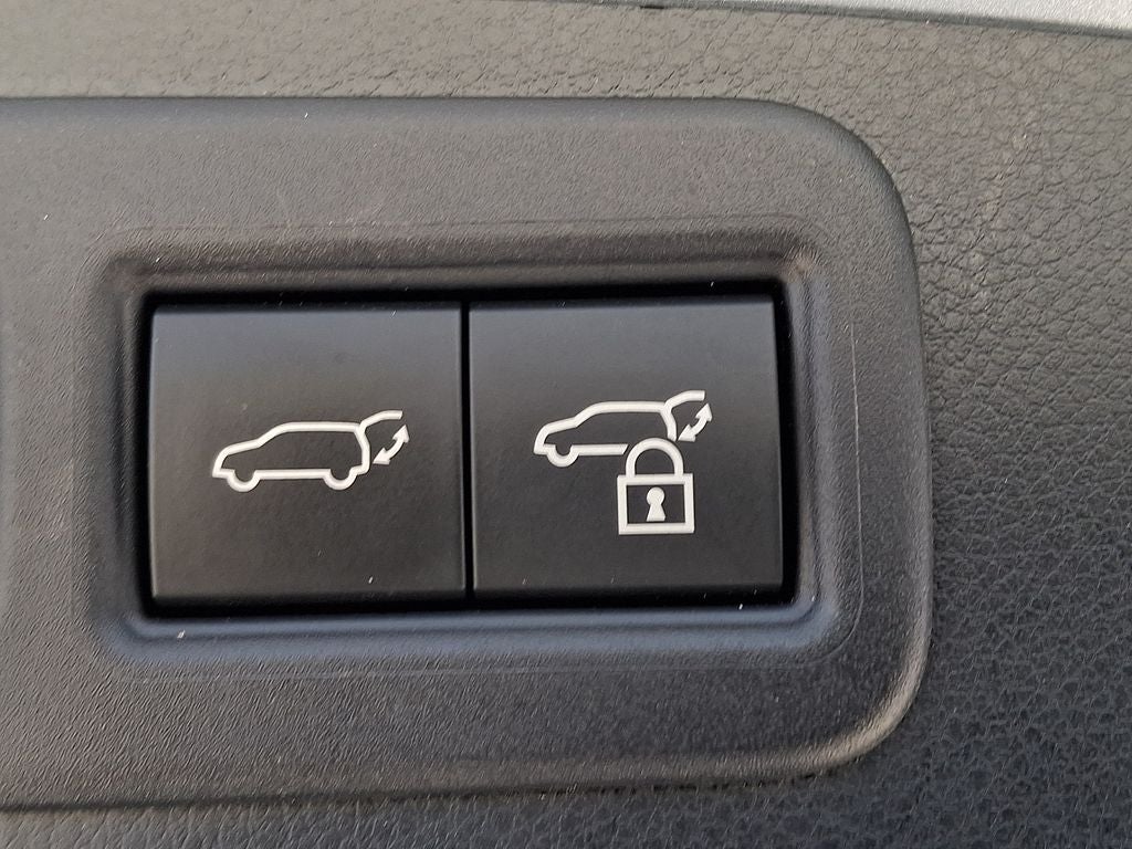 2023 Lexus RX 350 Premium Plus 350 Premium Plus COLD AREA PACKAGE