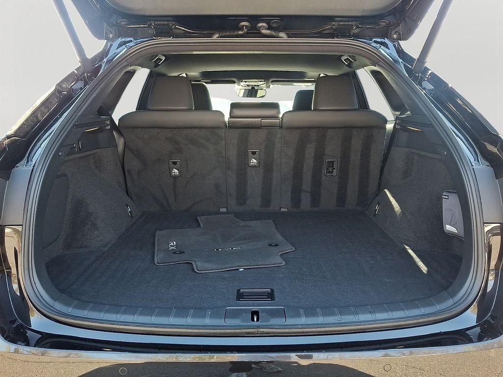 2024 Lexus RX 350 Premium 350 Premium COLD AREA PACKAGE, PREMIUM GRADE