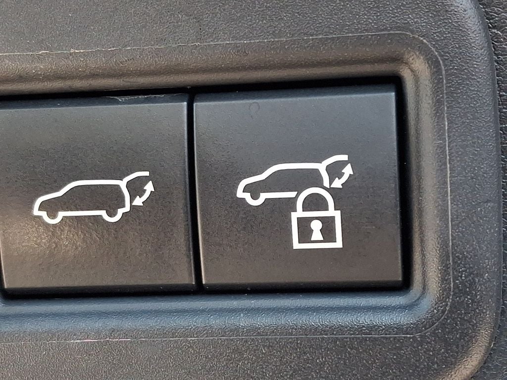 2024 Lexus RX 350 Premium 350 Premium COLD AREA PACKAGE