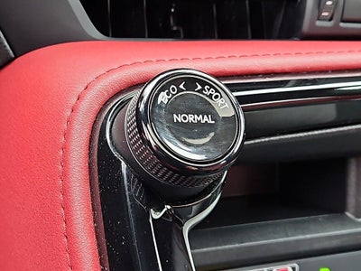 2024 Lexus NX 250 Premium 250 Premium COLD AREA PACKAGE, PREMIUM PACKAGE