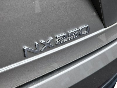 2024 Lexus NX 250 Premium 250 Premium COLD AREA PACKAGE, PREMIUM PACKAGE