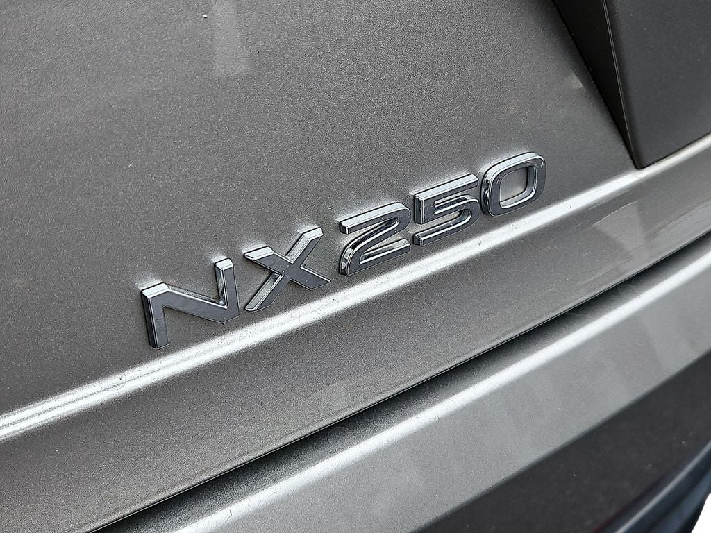 2024 Lexus NX 250 Premium 250 Premium COLD AREA PACKAGE, PREMIUM PACKAGE