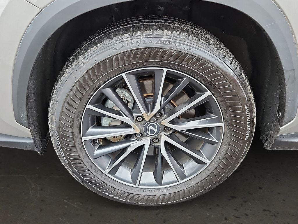 2024 Lexus NX 250 Premium 250 Premium COLD AREA PACKAGE, PREMIUM PACKAGE