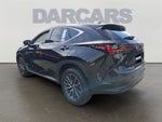 2024 Lexus NX 350 Premium 350 Premium COLD AREA PACKAGE, PREMIUM PACKAGE