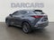 2024 Lexus NX 350 Premium 350 Premium COLD AREA PACKAGE, PREMIUM PACKAGE