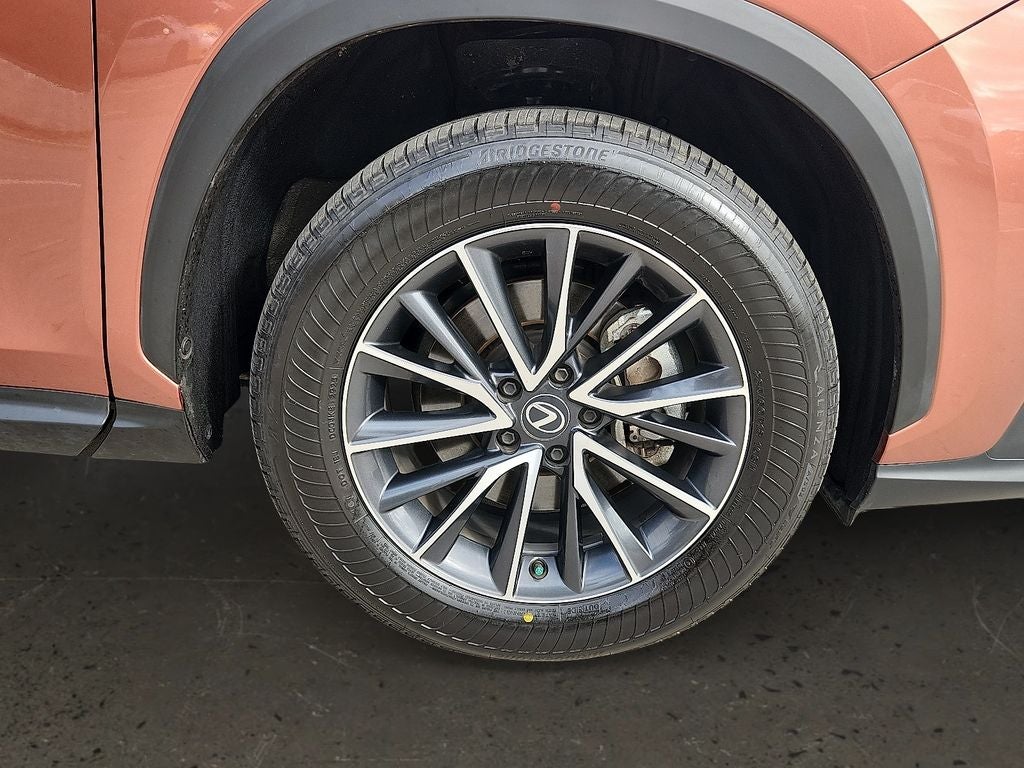 2025 Lexus NX 350 Premium 350 Premium COLD WEATHER PKG, PREMIUM PKG