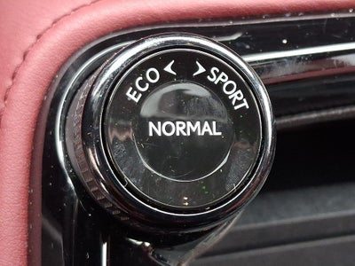 2023 Lexus NX 350 Premium 350 Premium COLD AREA PACKAGE