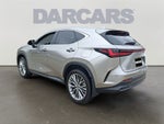 2023 Lexus NX 350 Luxury 350 Luxury