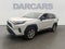 2023 Toyota RAV4 LE BASE