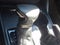 2023 Lexus ES 250 250 PREMIUM PACKAGE