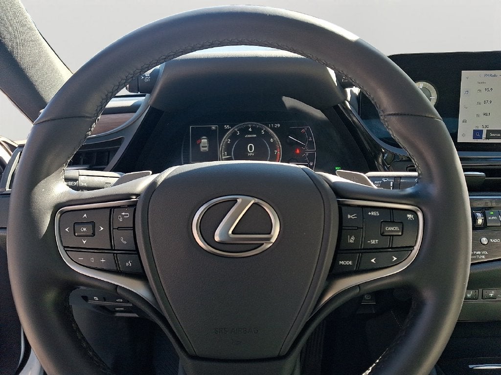 2023 Lexus ES 250 250 PREMIUM PACKAGE
