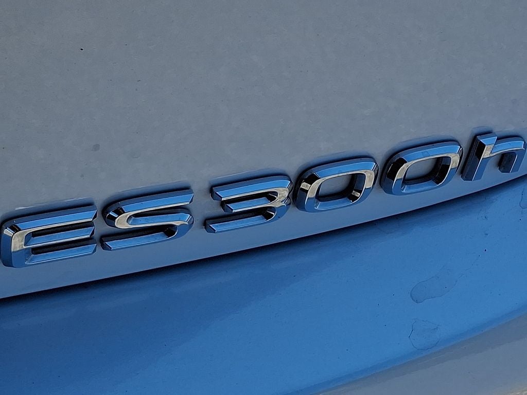 2025 Lexus ES 300h 300h