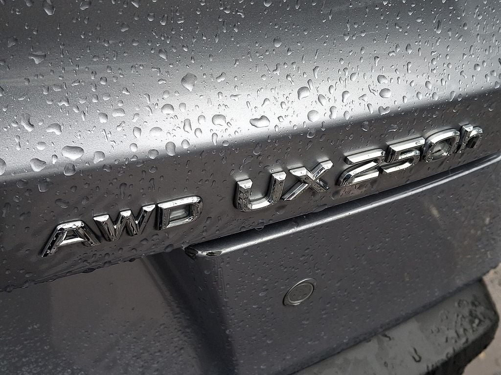 2024 Lexus UX 250h Premium 250h Premium