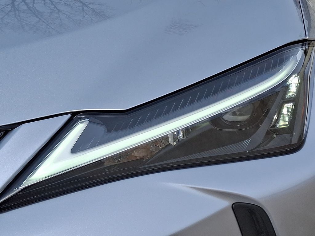 2025 Lexus UX 300h Premium 300h Premium COLD AREA PACKAGE