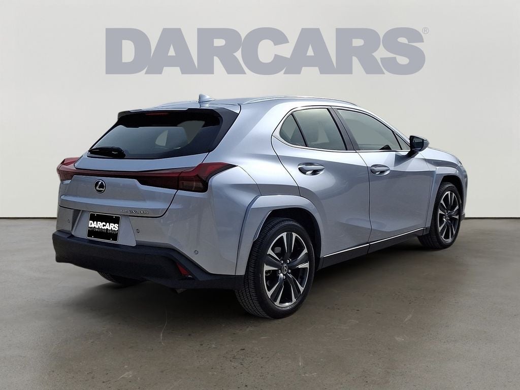 2025 Lexus UX 300h Premium 300h Premium COLD AREA PACKAGE