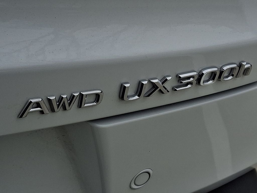 2026 Lexus UX 300h Premium 300h Premium COLD AREA PACKAGE, PREMIUM GRADE